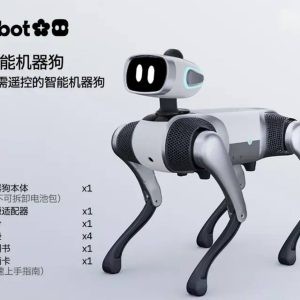 Vbot robot dog
