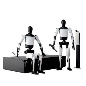 Intelligent AI Robot Basic Edition